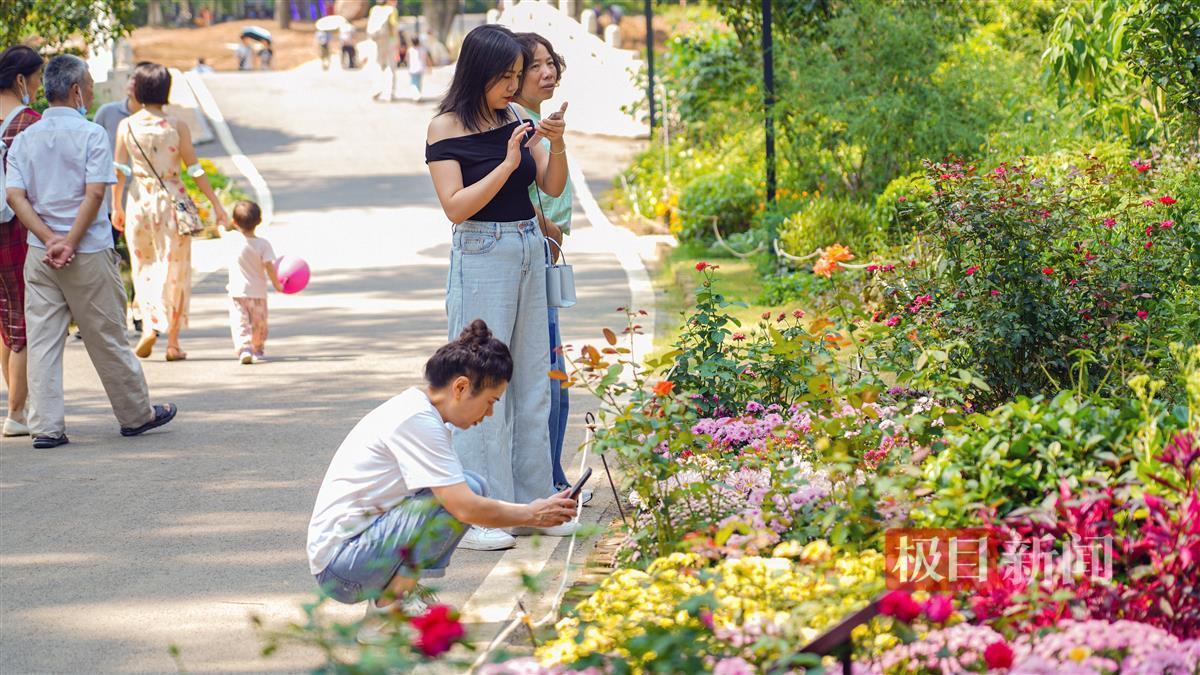 银河摆脱送彩金